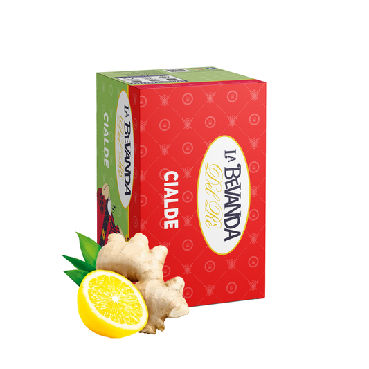 20 Cialde Infuso Zenzero e Limone